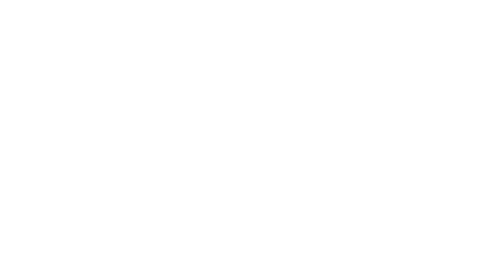 logo-saltleaf